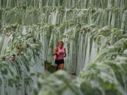 The race meanders through vineyards and rolling hills with Lake Michigan views!